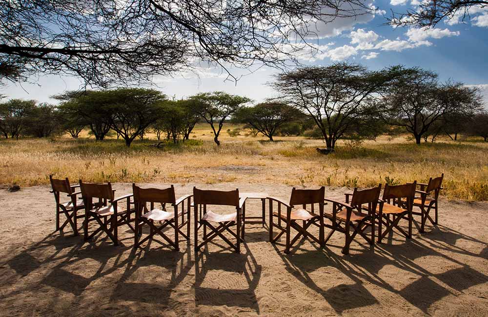3 Days Northern Tanzania Safari