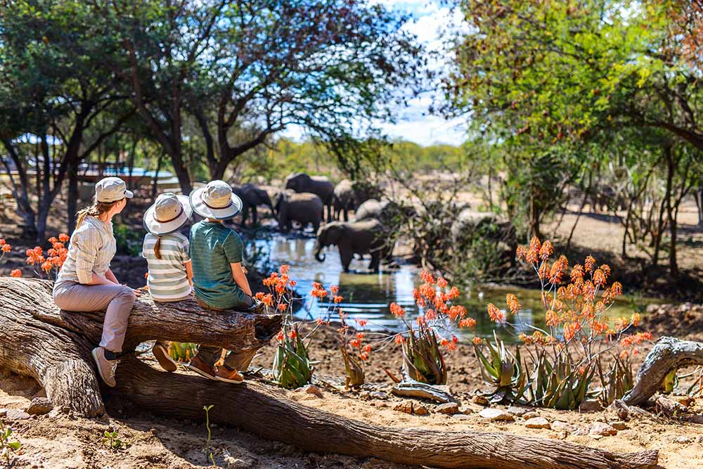 3 Days Northern Tanzania Safari