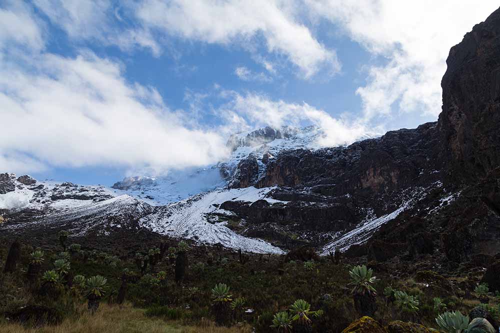 7 Days Kilimanjaro Rongai Route