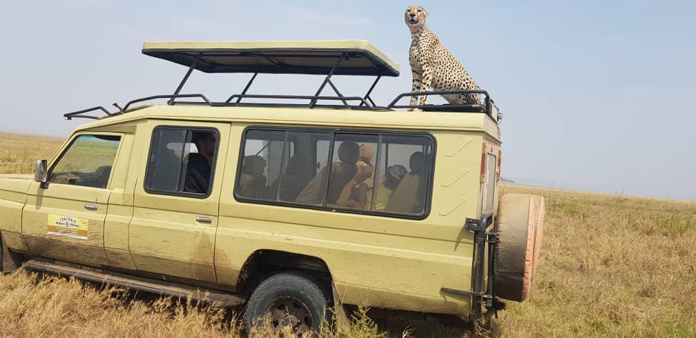 3 Days Northern Tanzania Safari