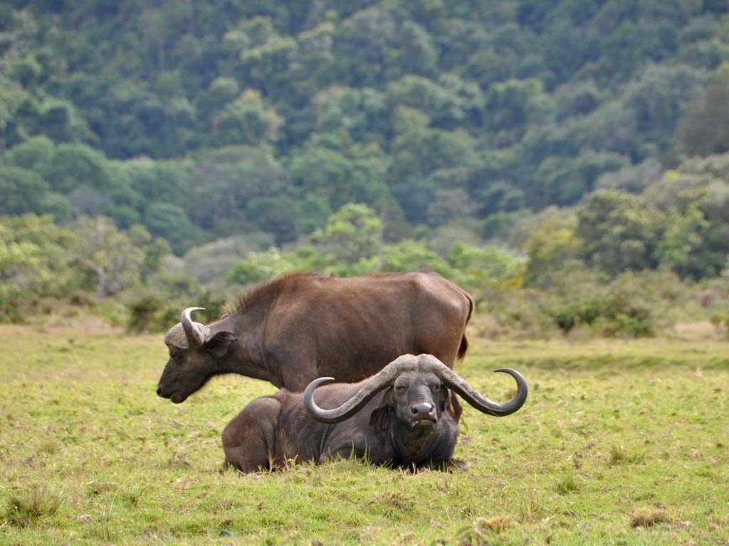 Arusha National Park 3